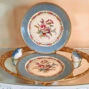 Rosenthal dining dishes 7